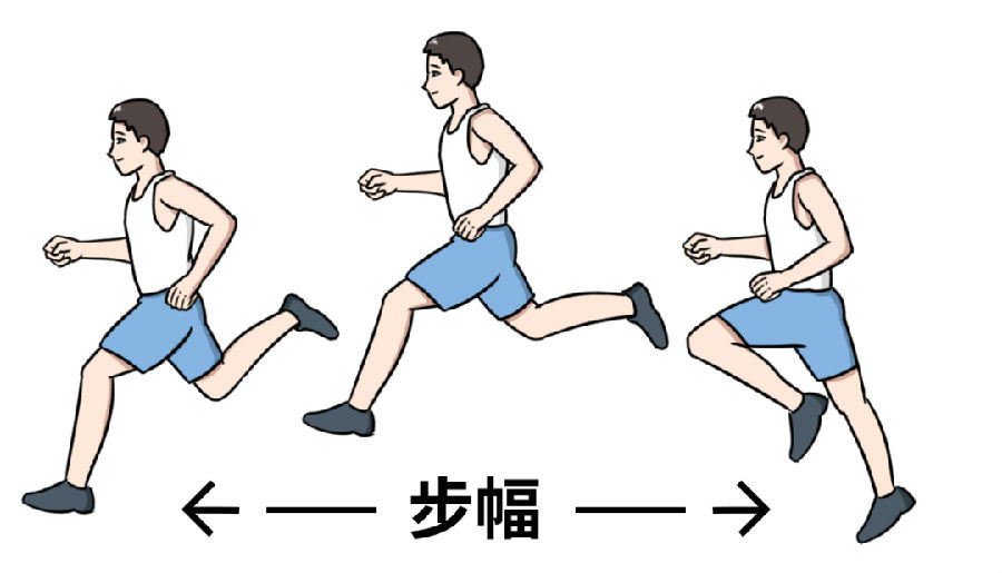 老人运动护膝盖哪种好百度健康·医学科普(图1)