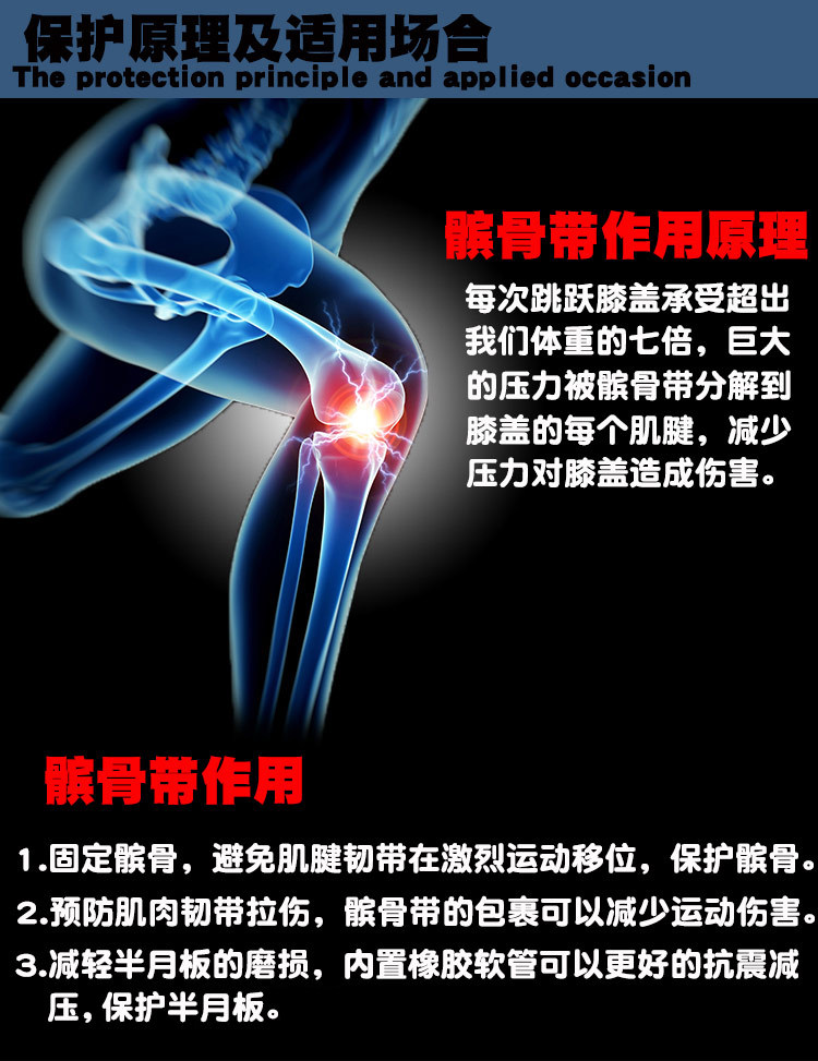 金陵体育(300651)_最新价格_行情_走势图—东方财富网(图1)
